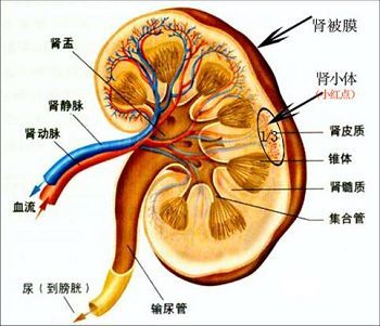 点击图片进入下一页